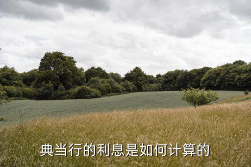 典当行的利息是如何计算的