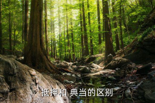 抵押和 典当的区别