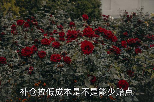 补仓拉低成本是不是能少赔点