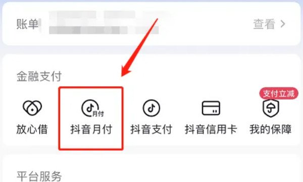 月付是什么意思