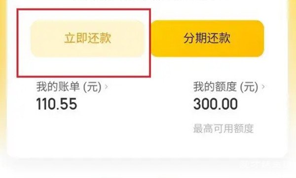 月付是什么意思