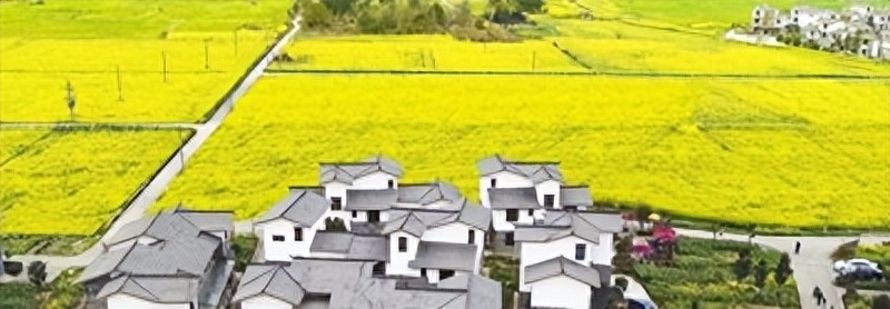 小贷公司贷款不还会怎么样