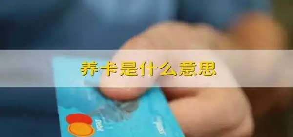 养卡是什么意思