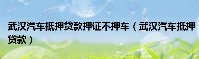 武汉押证不押车的贷款平台