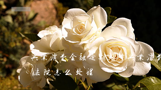 兴业消费金融逾期起诉(兴业消费金融起诉到法院怎么处理?)