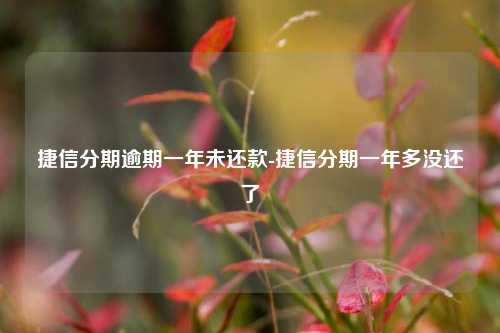 捷信分期逾期一年未还款-捷信分期一年多没还了