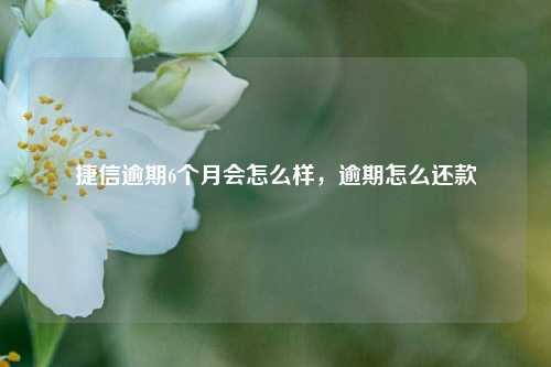 捷信逾期6个月会怎么样，逾期怎么还款