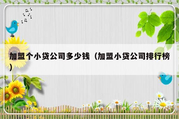 小额贷款公司加盟