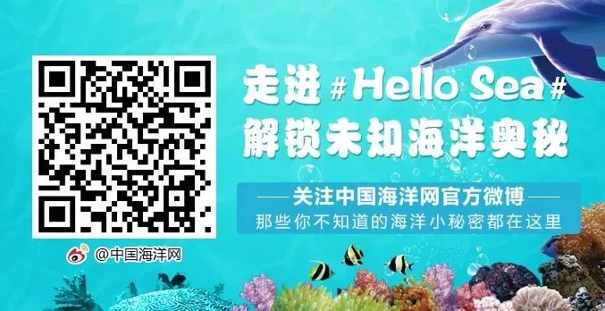 新华保险唯一央企