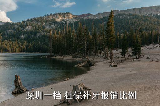 深圳一档 社保补牙报销比例