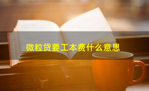 微粒贷可靠吗