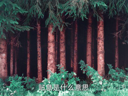 贴息是什么意思