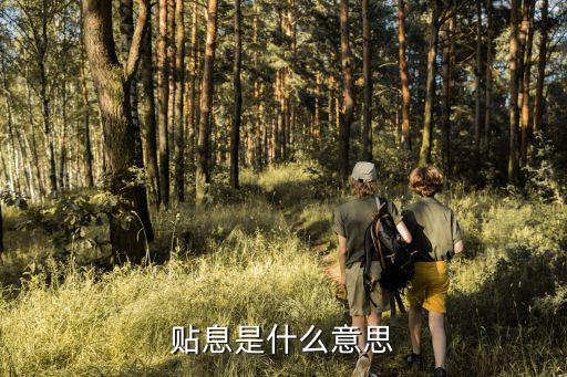 贴息是什么意思