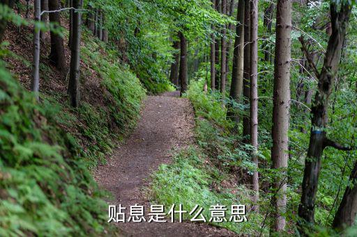 贴息是什么意思