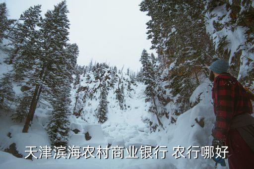 天津滨海农村商业银行 农行哪好