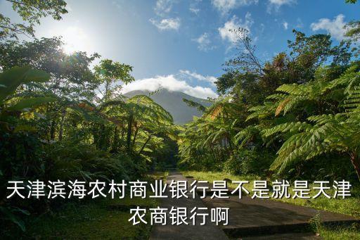 天津滨海农村商业银行是不是就是天津农商银行啊