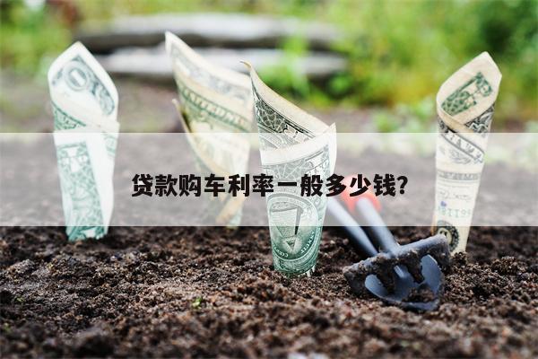 车贷利率一般多少