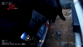 男子租车不为开，哈尔滨7家车行租丢8辆车......