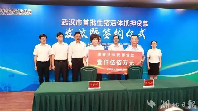 武汉汽车抵押贷款