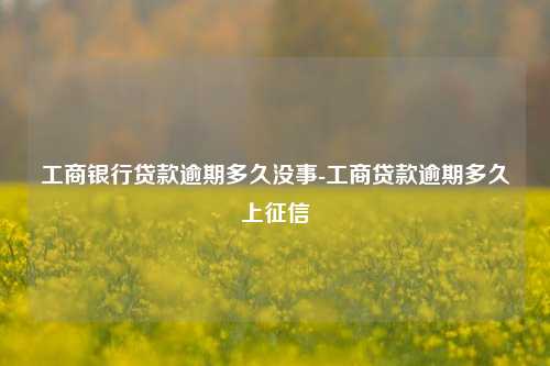 工商银行贷款逾期多久没事-工商贷款逾期多久上征信