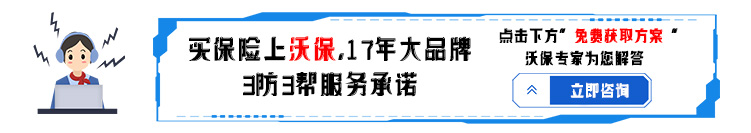 史带保险
