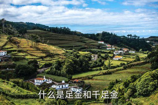 什么是足金和千足金