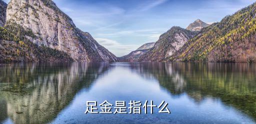 足金是指什么