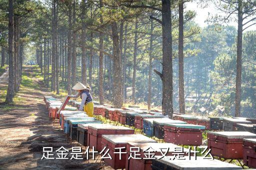 足金是什么千足金又是什么