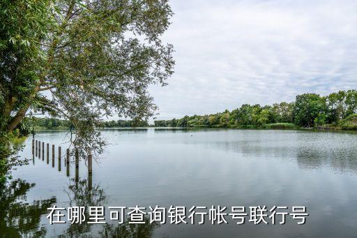 在哪里可查询银行帐号联行号