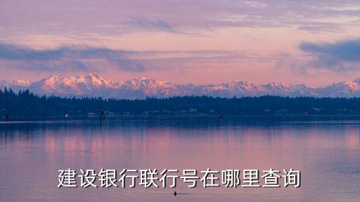 建设银行联行号在哪里查询