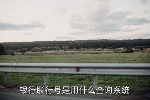 银行联行号是用什么查询系统
