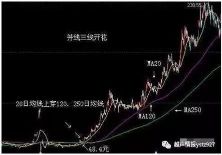三线开花