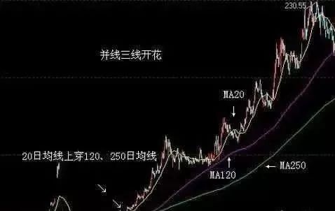 三线开花