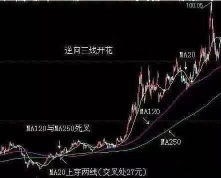 三线开花