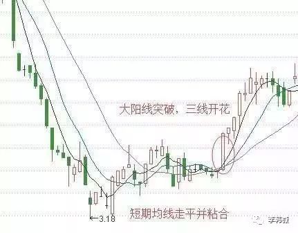 三线开花