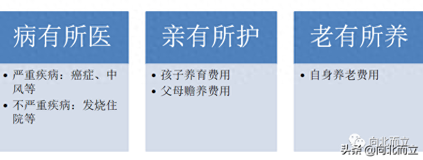 三金一险