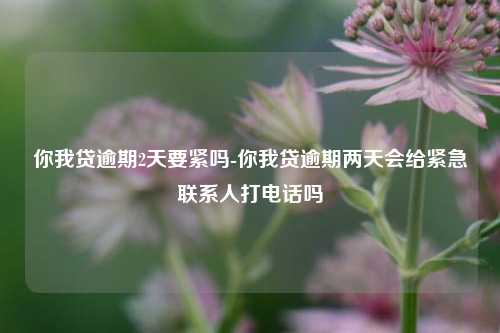 你我贷逾期2天要紧吗-你我贷逾期两天会给紧急联系人打电话吗