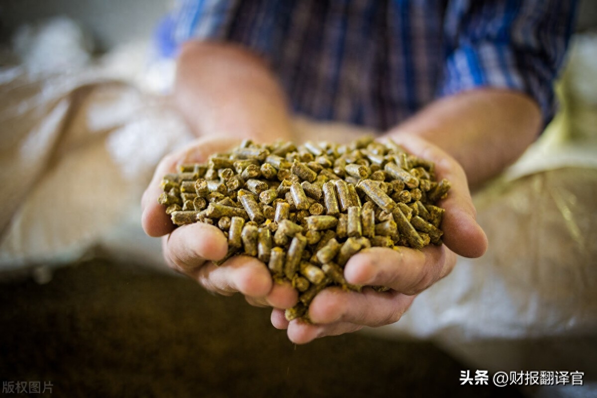 毛利润是什么意思