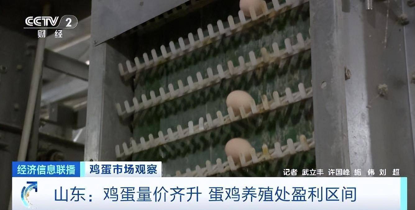 量价齐升