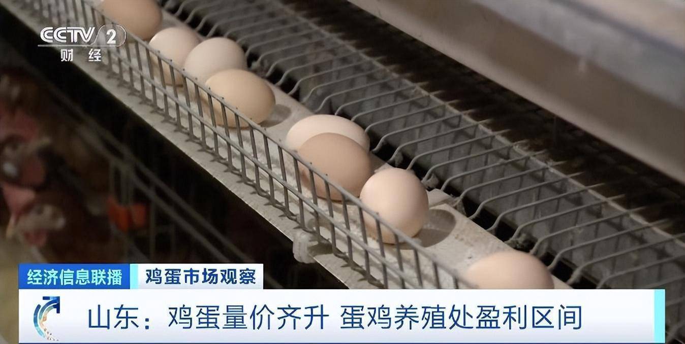 量价齐升