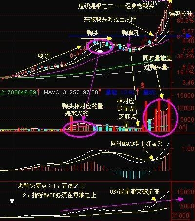 老鸭头