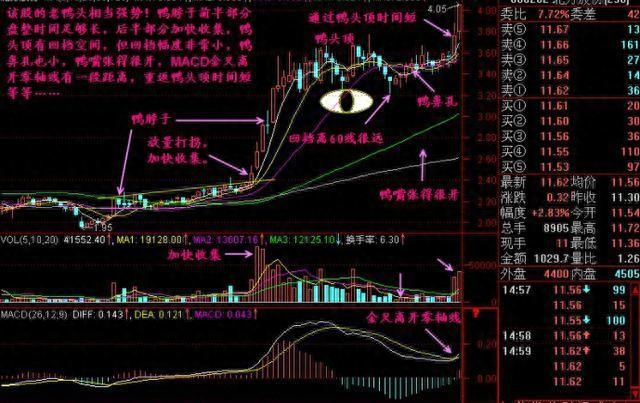 老鸭头
