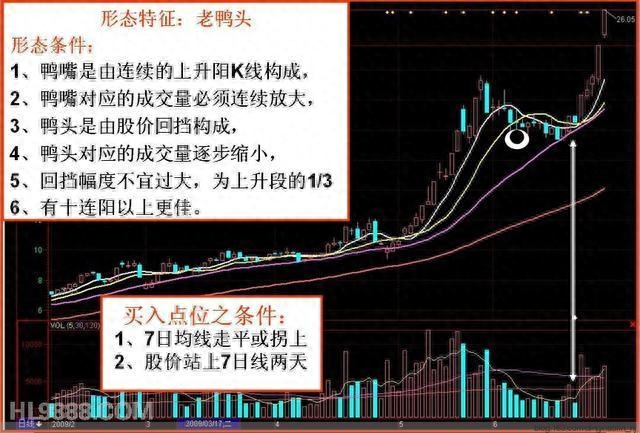 老鸭头