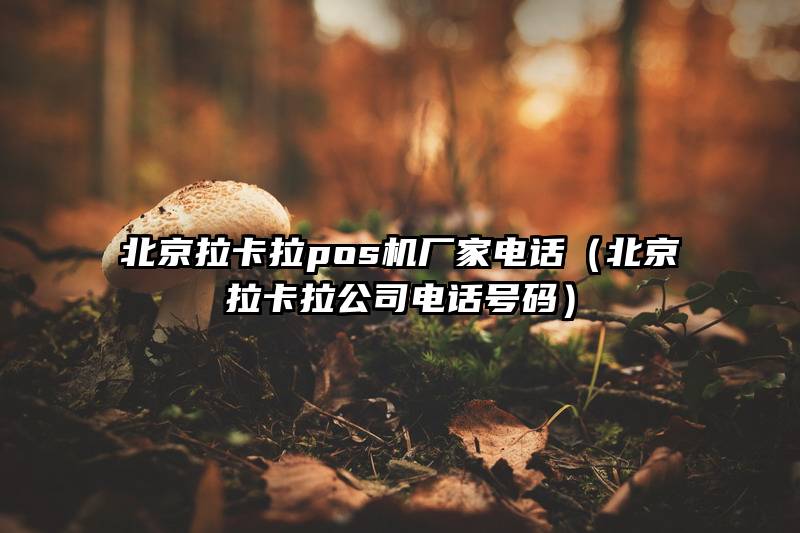 北京拉卡拉pos机厂家电话（北京拉卡拉公司电话号码）