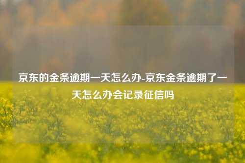 京东的金条逾期一天怎么办-京东金条逾期了一天怎么办会记录征信吗