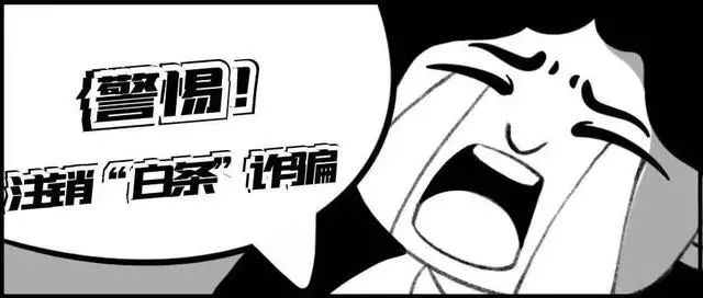 京东白条客服电话