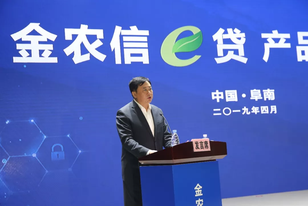 金e贷