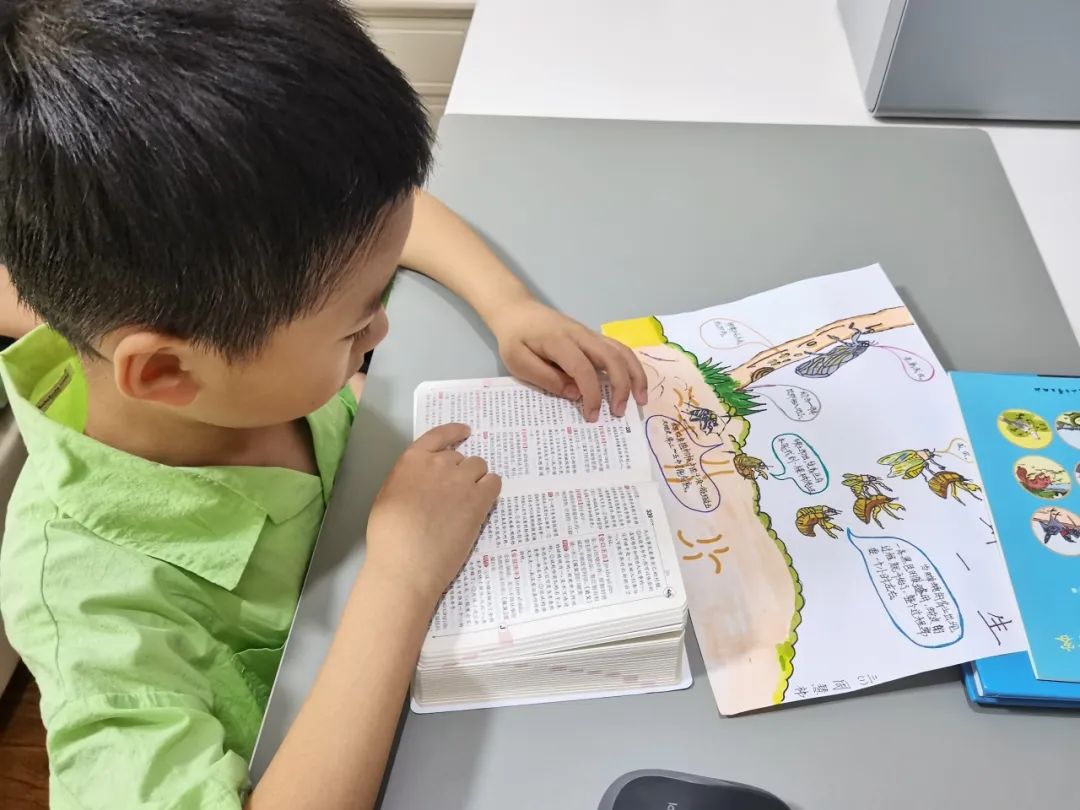 金蝉脱壳是什么意思