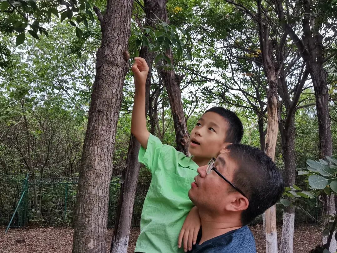 金蝉脱壳是什么意思