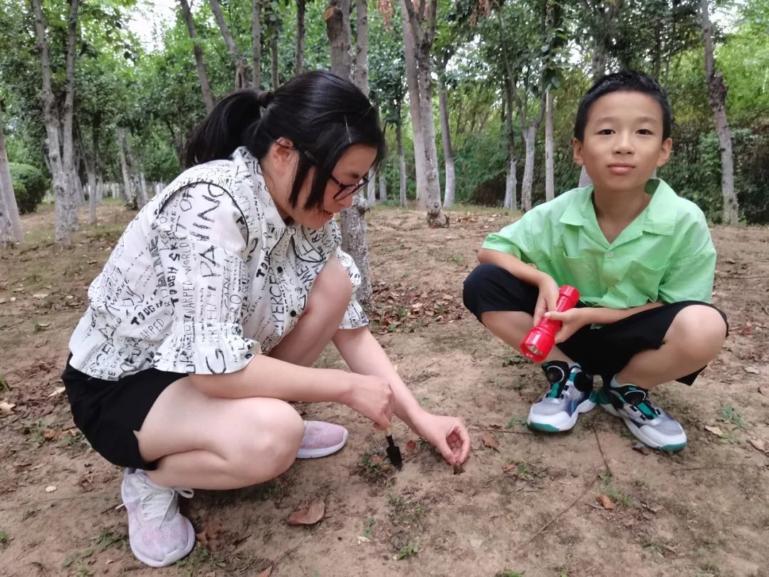金蝉脱壳是什么意思
